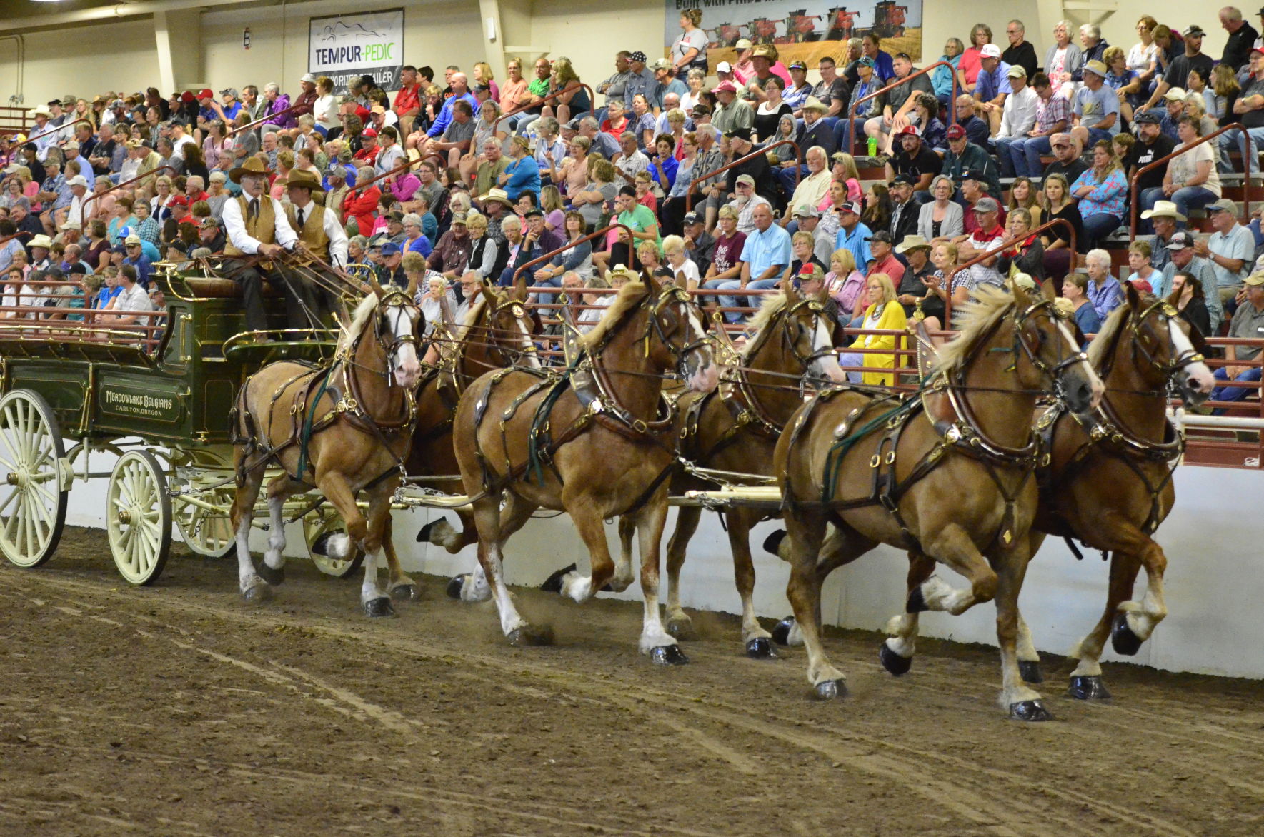 8-25-19 Draft Horse Hitch Final (116).JPG